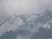 duemani 250